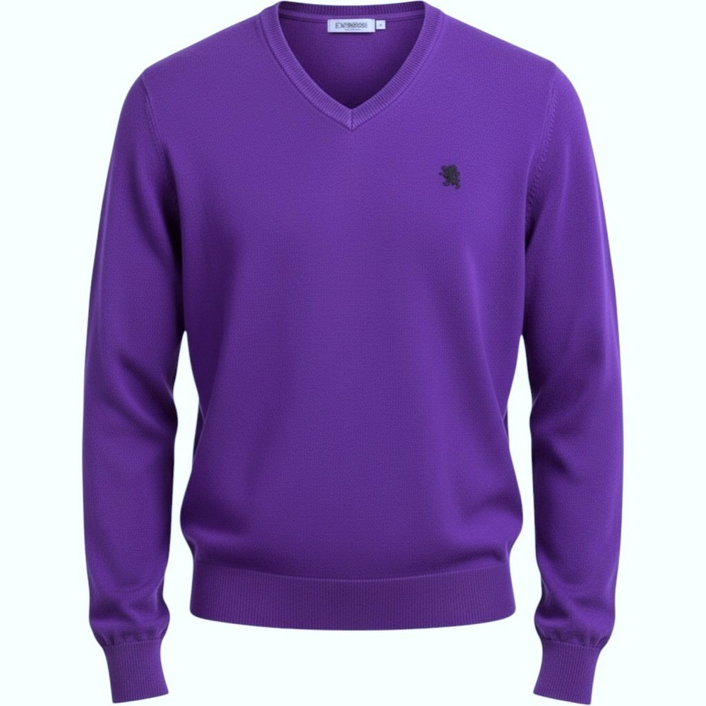Express Mens Purple V-Neck Cotton Sweater Lion Logo Size Medium Preppy